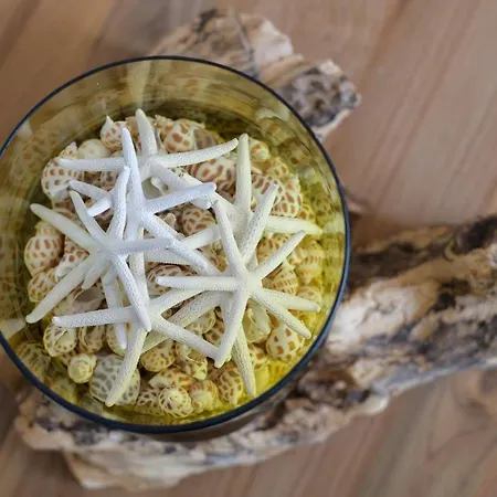 Casa Vela Marina, Puerto Calero